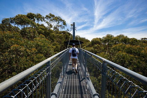 Illawarra Fly Treetop Adventures Treetop Walk Admission Ticket - Attractions Perth 0