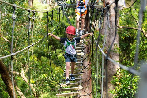 Illawarra Fly Treetop Adventures Treetop Walk Admission Ticket - Attractions Perth 3