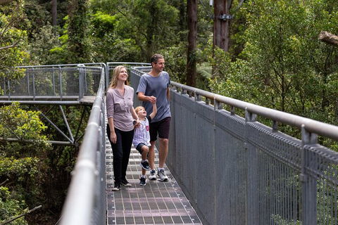 Illawarra Fly Treetop Adventures Treetop Walk Admission Ticket - Attractions Perth 1