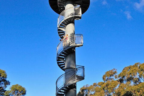 Illawarra Fly Treetop Adventures Treetop Walk Admission Ticket - Attractions Perth 5