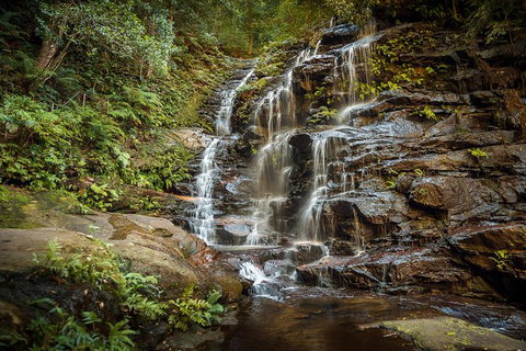 Ultimate Blue Mountains Waterfalls, Walks & Sunset PRIVATE Tour - Attractions Perth 10