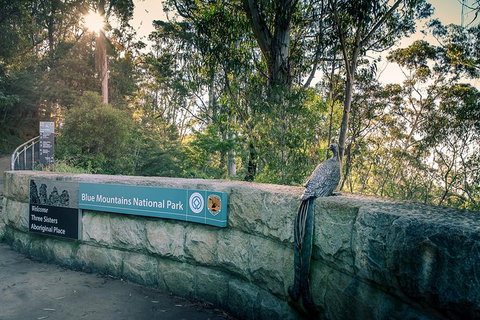 Ultimate Blue Mountains Waterfalls, Walks & Sunset PRIVATE Tour - Attractions Perth 8