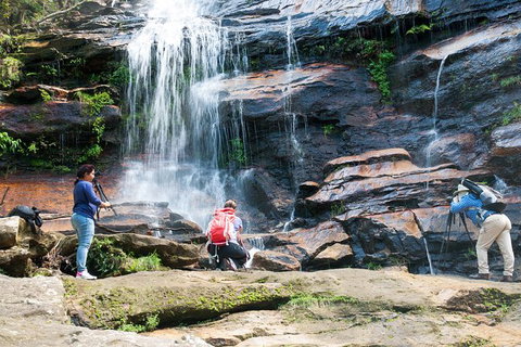 Ultimate Blue Mountains Waterfalls, Walks & Sunset PRIVATE Tour - Attractions Perth 11