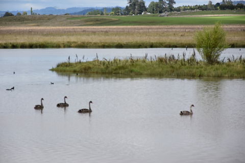 Beardy Waters Dam And Woodlands - Attractions Perth 0
