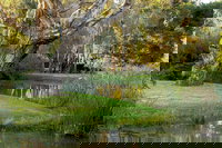 Gateway Island Parklands