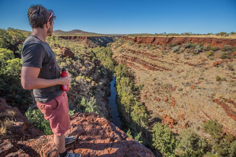 Gorge Rim Walk, Dales Gorge - Attractions Perth 0