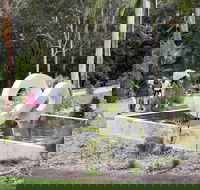 Maroochy Regional Bushland Botanic Garden - Attractions Perth