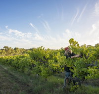 Mclaren Vale - Attractions Perth