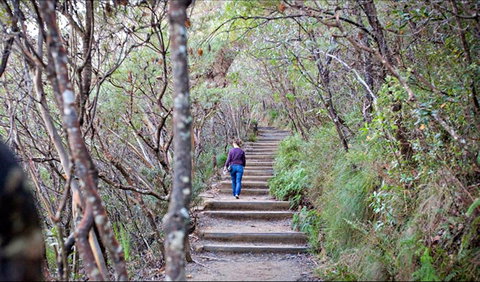 Princes Rock Walking Track - Attractions Perth 0