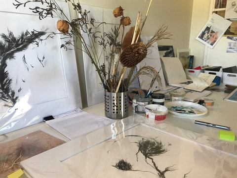 Sandra Blackburne Art Studio And Gallery - Attractions Perth 1