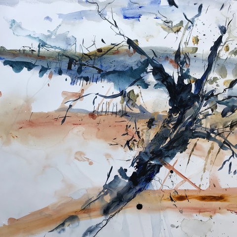 Sandra Blackburne Art Studio And Gallery - Attractions Perth 2