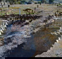 Wangaraleednie Monument  Ruins - Attractions Perth