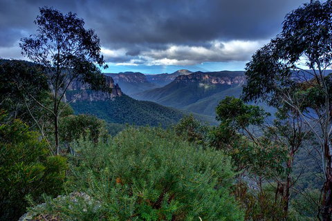 Ultimate Blue Mountains And Wildlife Tour - Attractions Perth 6
