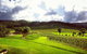 Ivanhoe Wines: Trip Advisor Wine Masterclass With Cheese Plate - thumb 3