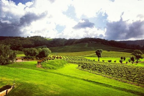 Ivanhoe Wines: Trip Advisor Wine Masterclass With Cheese Plate - Attractions Perth 3