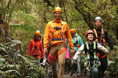 Illawarra Fly Treetop Adventures Admission Including Zipline Tour - Attractions Perth 1