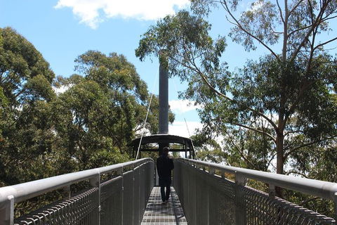 Illawarra Fly Treetop Adventures Admission Including Zipline Tour - Attractions Perth 2