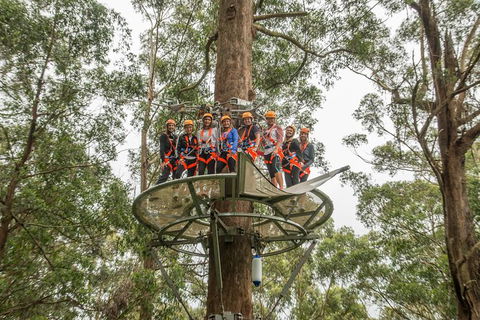 Illawarra Fly Treetop Adventures Admission Including Zipline Tour - Attractions Perth 4