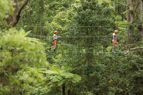 Illawarra Fly Treetop Adventures Admission Including Zipline Tour - Attractions Perth 0