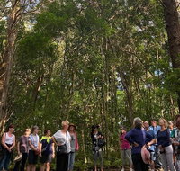 Breakfast Bushwalk Tour in Captain Cook's Monument - Attractions Perth