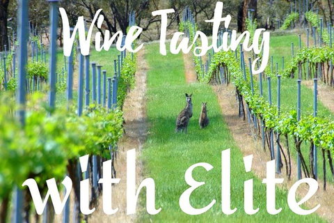 Six Hour - Plan Your Own Wine And Cheese Tour Hunter Valley - Attractions Perth 7