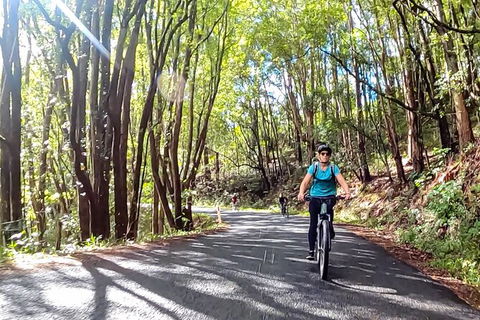 Guided E Bike Tour - Unicorn Falls & National Park - Attractions Perth 16