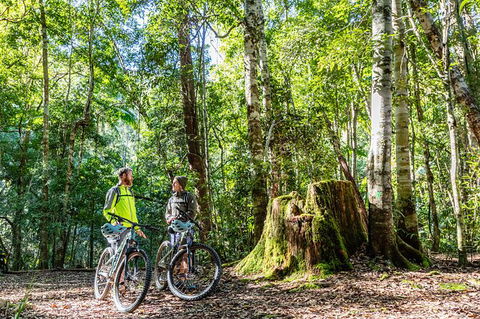 Guided E Bike Tour - Unicorn Falls & National Park - Attractions Perth 14