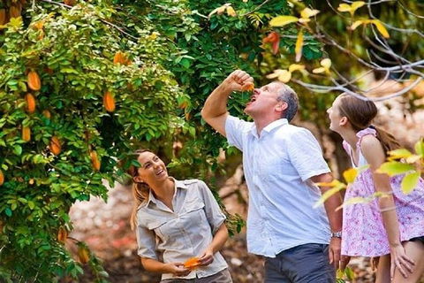 Full-Day Guided Tour Byron Bay With Pickup - Attractions Perth 1