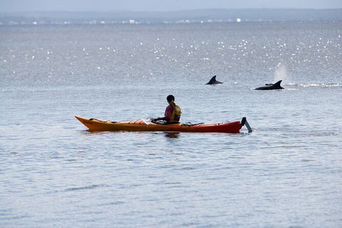 Half-Day Jervis Bay Sea Kayak Tour - Attractions Perth 4