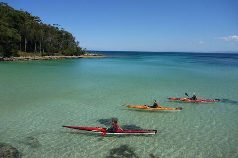 Half-Day Jervis Bay Sea Kayak Tour - Attractions Perth 3