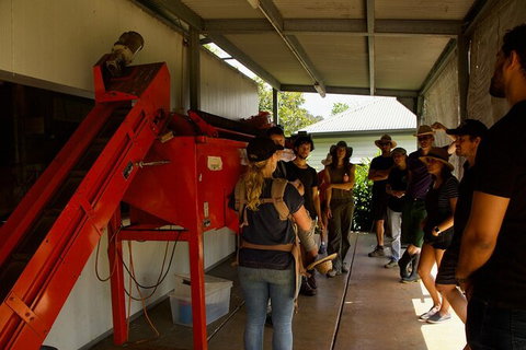 Pecan Farm Tour And Workshop, Byron Bay Hinterland - Attractions Perth 4