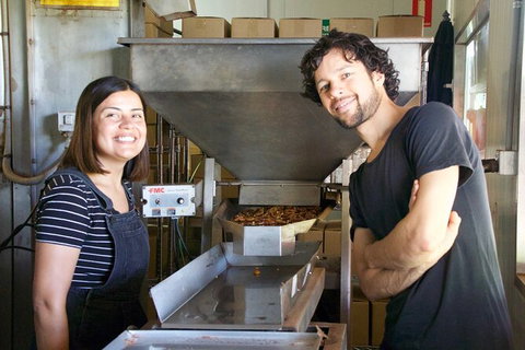 Pecan Farm Tour And Workshop, Byron Bay Hinterland - Attractions Perth 7