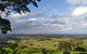 Pecan Farm Tour And Workshop, Byron Bay Hinterland - thumb 1