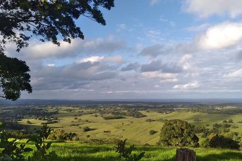 Pecan Farm Tour And Workshop, Byron Bay Hinterland - Attractions Perth 1