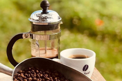 Coffee Farm Tour And Workshop, Byron Bay Hinterland - Attractions Perth 0