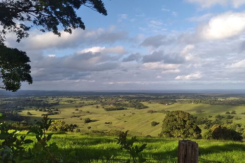 Coffee Farm Tour And Workshop, Byron Bay Hinterland - Attractions Perth 4