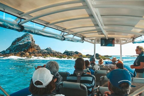 Julian Rocks Byron Bay Cruise - Attractions Perth 13