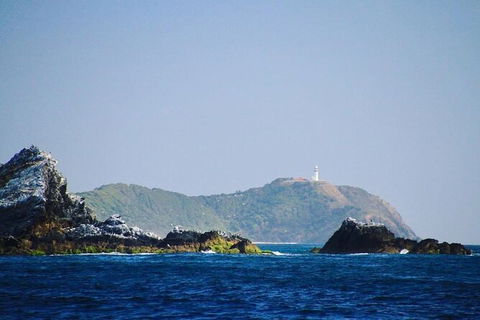 Julian Rocks Byron Bay Cruise - Attractions Perth 2