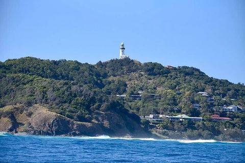 Julian Rocks Byron Bay Cruise - Attractions Perth 7