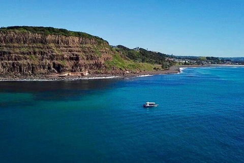 Julian Rocks Byron Bay Cruise - Attractions Perth 6