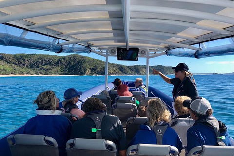 Julian Rocks Byron Bay Cruise - Attractions Perth 11