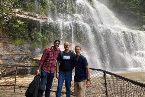 Blue Mountains Highlights & Wildlife Park - Attractions Perth 4