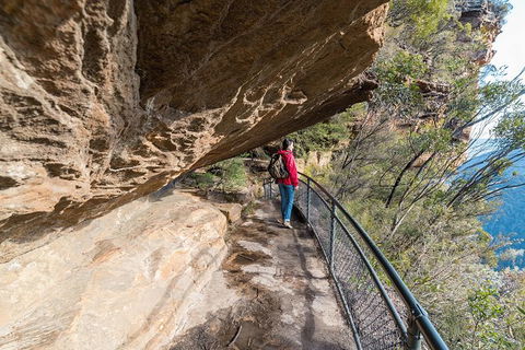 Blue Mountains Highlights & Wildlife Park - Attractions Perth 0