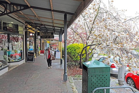 Blue Mountains Highlights & Wildlife Park - Attractions Perth 2