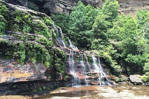 Blue Mountains Highlights & Wildlife Park - Attractions Perth 8