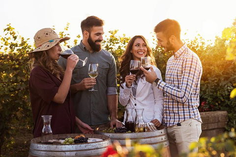 Hunter Valley Highlights Private Wine Tour From Sydney - Attractions Perth 0