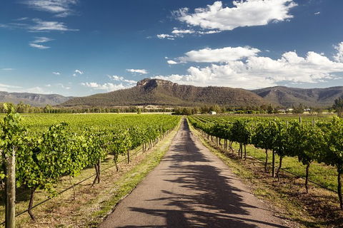 Hunter Valley Highlights Private Wine Tour From Sydney - Attractions Perth 2