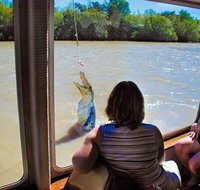 Jumping Crocs  Nature Adventure Cruise from Darwin - Attractions Perth