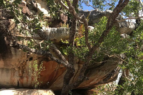 4-Hour Groote Eylandt Explorer 4WD Tour - Attractions Perth 1