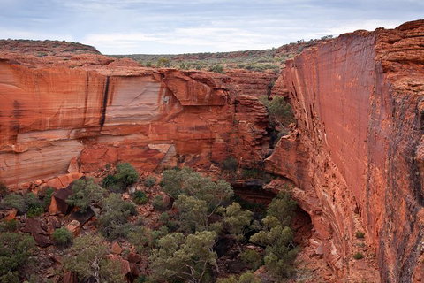 Uluru, Kata Tjuta And Kings Canyon Camping Safari From Alice Springs - Attractions Perth 4